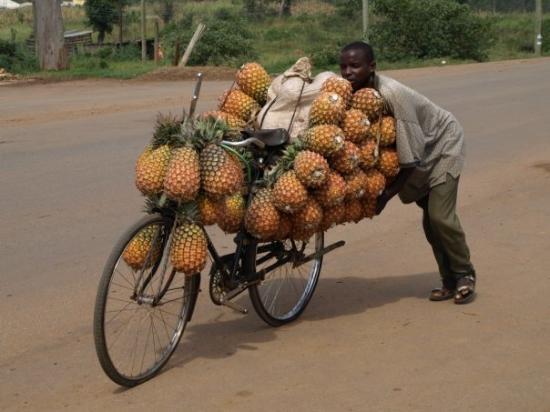 bicycle-overloaded-with