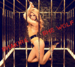 shakira_she_wolf_video